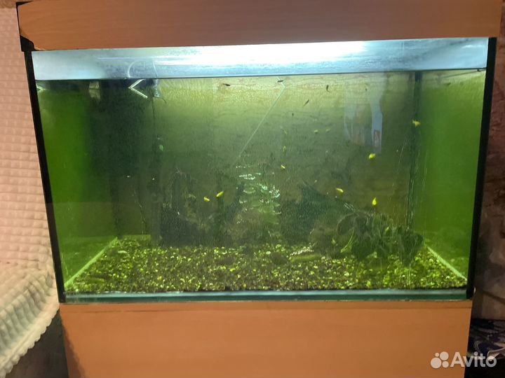 Аквариум с тумбой 210