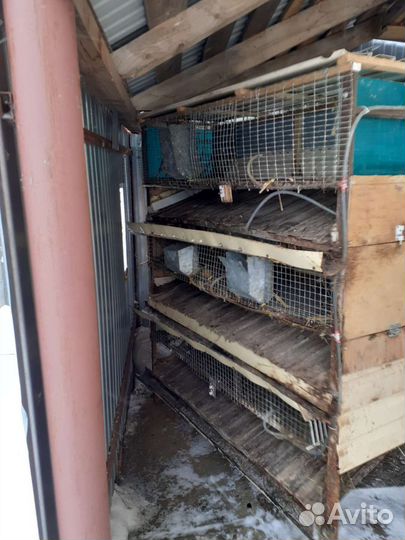 Клетки, переноски для кроликов