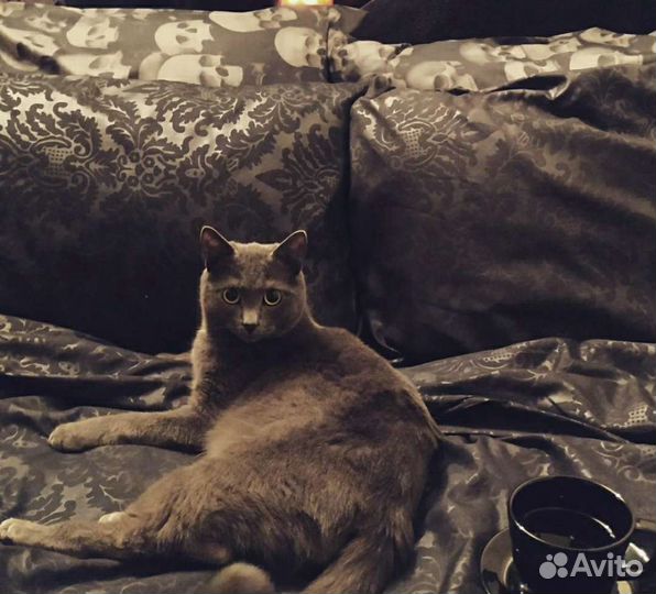 Постельное белье