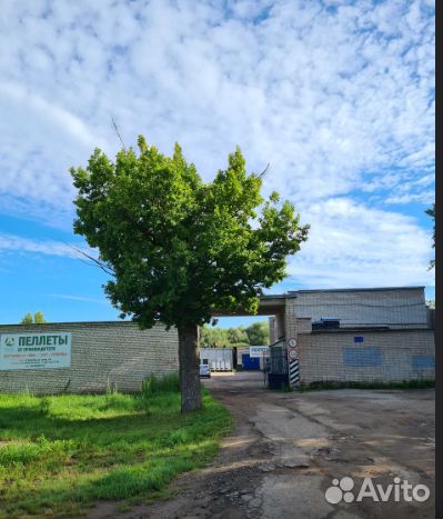 Наполнитель для кошачьего туалета древесный