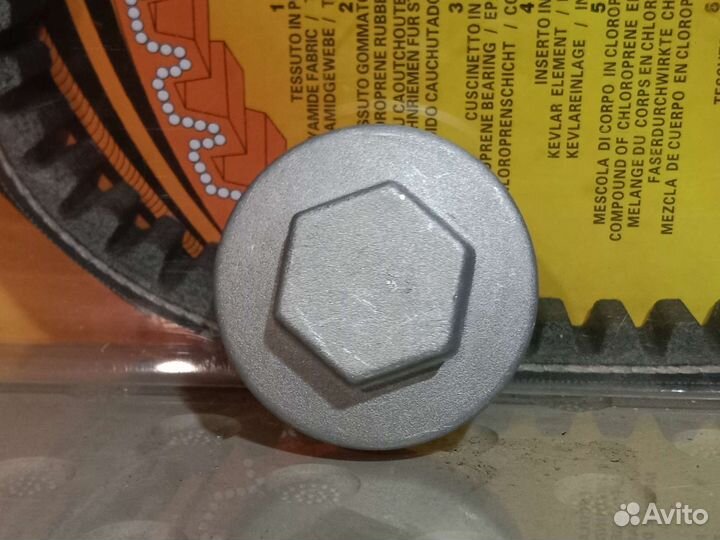 Крышка регулировки клапанов TTR 250