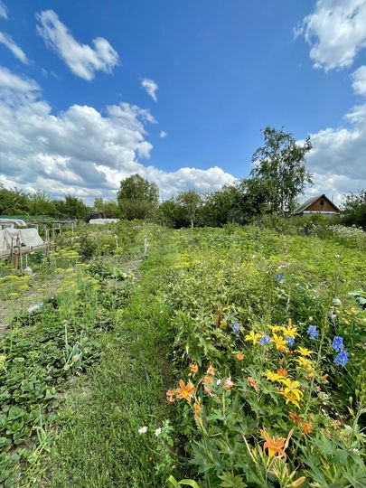 Участок 5 сот. (СНТ, ДНП)