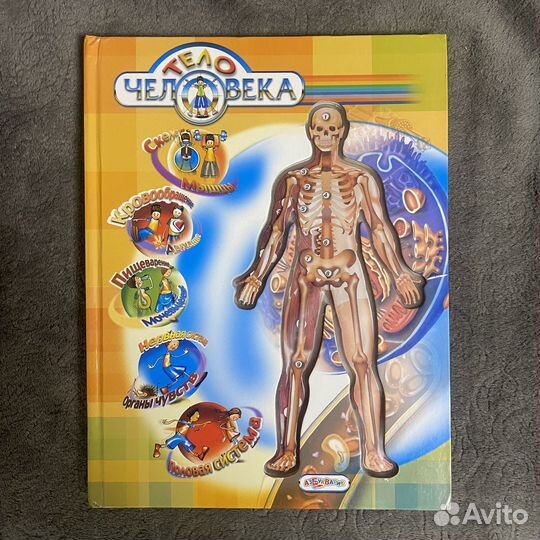 Книги про Анотомию человека