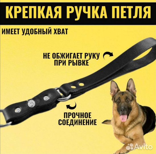 Поводок для собак