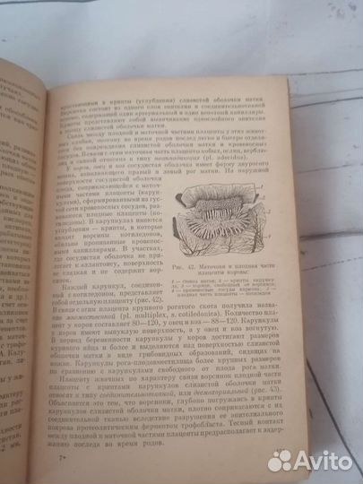Книги по ветеринарии СССР с 1964 г по 1978г