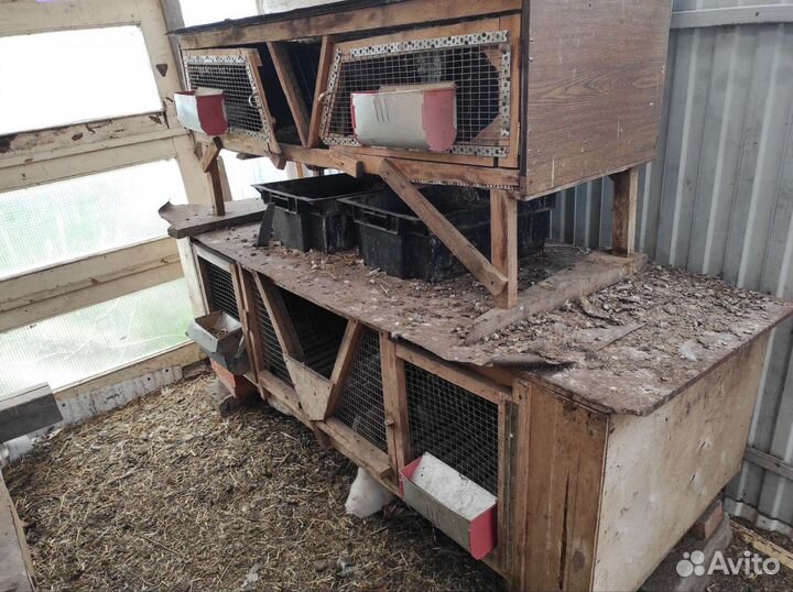 Клетка для кроликов