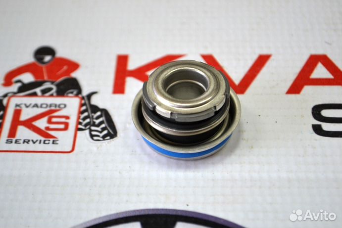 Сальник помпы BRP 420850946