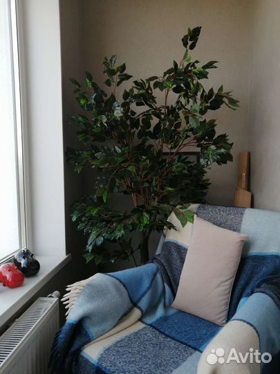 Фикус искусственный 170см