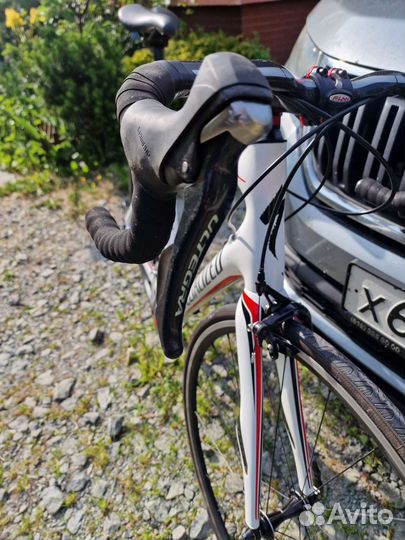 Карбоновый шоссейный endurance specialized roubaix