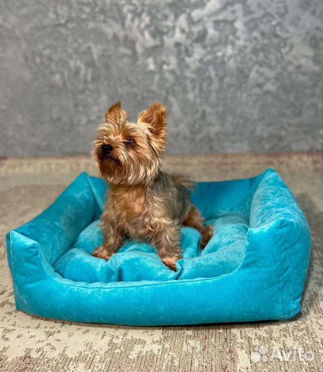 Лежанка для собак