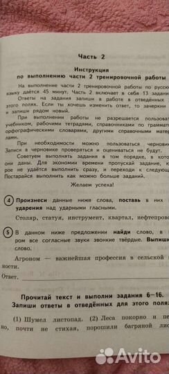 Рабочая тетрадь по русскому языку впр