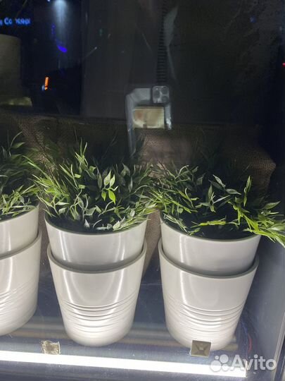 Горшок кашпо Икея