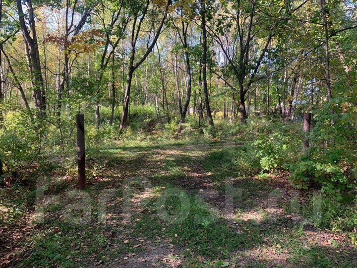 Участок 12 сот. (СНТ, ДНП)