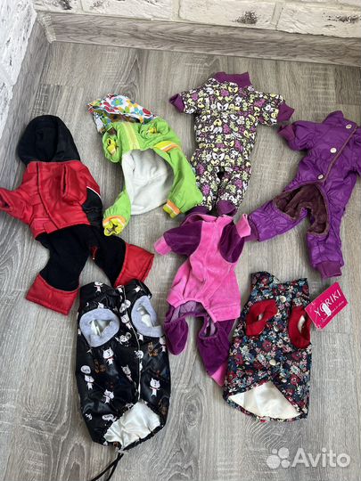 Одежда для мелких пород собак