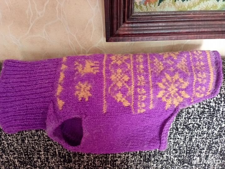 Одежда для собак мелких пород бесплатно