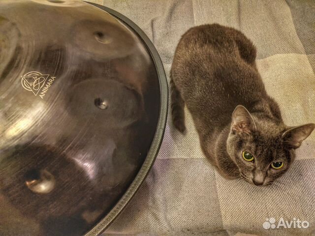 Ханг, Кельтский минор До, сталь 65Г, Анимара