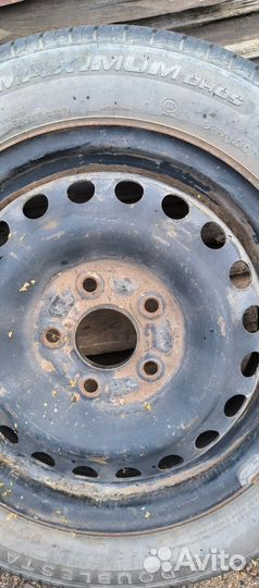 DoubleStar Maximum DH02 175/65 R15