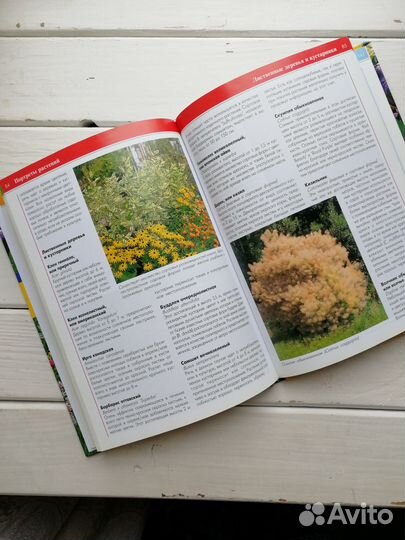 Цветущий сад Хельмут Янтра