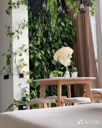 Озеленение интерьера