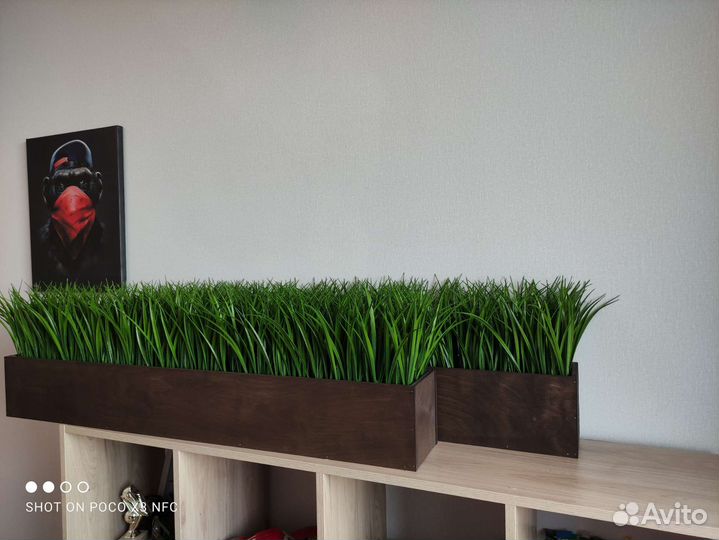 Искусственная трава в ящике