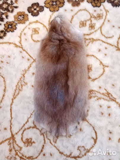 Шкурка животного