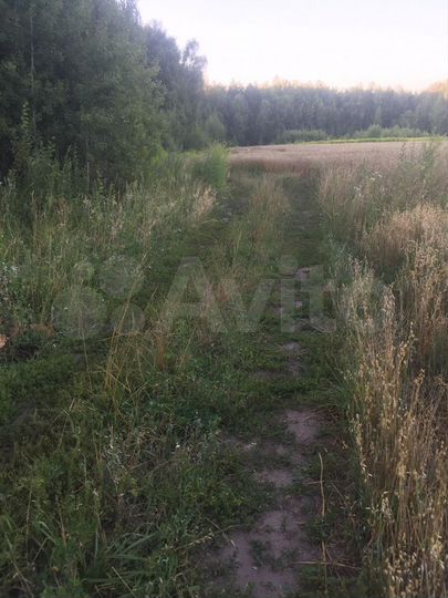 Участок 1,06 га (ИЖС)