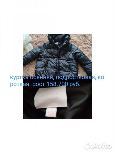 Женская одежда