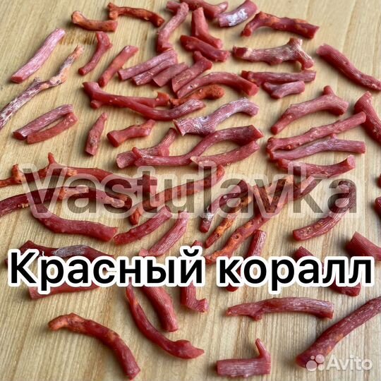 Красный коралл для Васту
