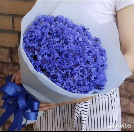 Васильки, букет васильков