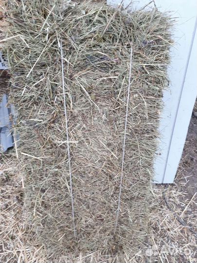 Сено лугавое салома