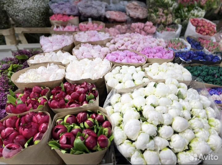 Букеты Пионов Цветы Розы с доставкой