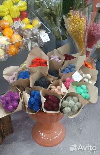 Сухоцветы гепсафила, лагуруса, хлопок