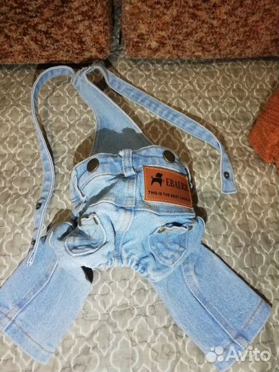 Одежда для маленьких собак