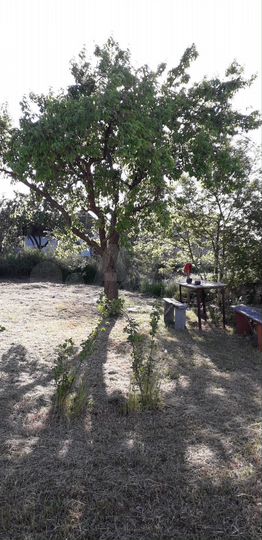 Дом 45 м² на участке 7,4 сот.