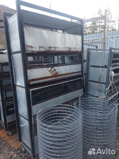 Брудер клетка для цыплят