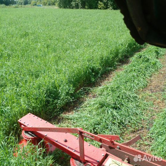 Сено люцерны в рулонах 350-400 кг