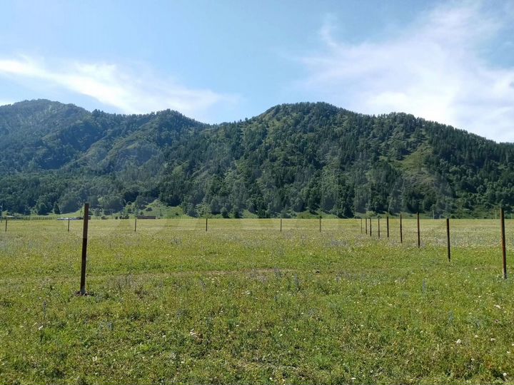 Участок 10 сот. (СНТ, ДНП)