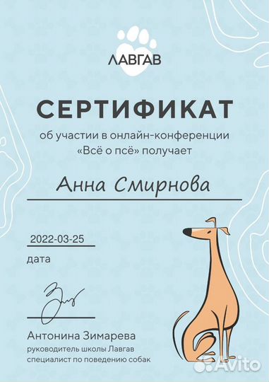 Дрессировка, воспитание коррекция поведения собак