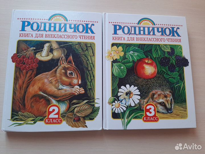 Родничок 2 класс и 3 класс