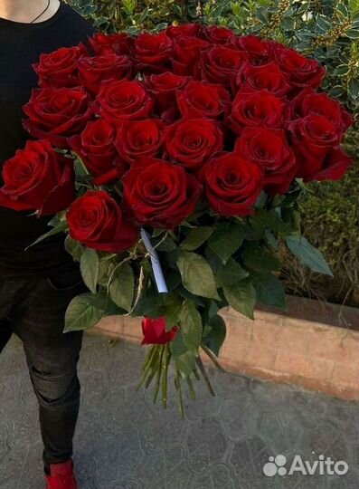 Розы Букеты Цветы Розы 31 101 151 201 Доставка