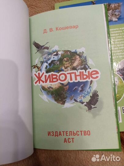 Книги детские энциклопедии