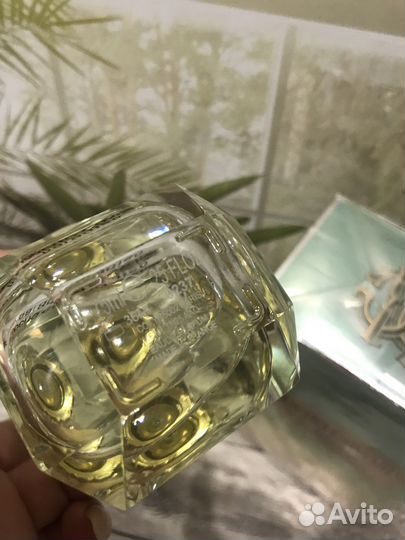 Roberto cavalli paradiso