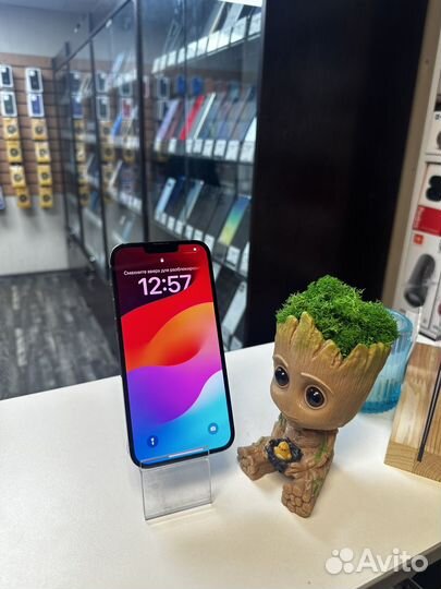 iPhone 13 Pro Max, 256 ГБ