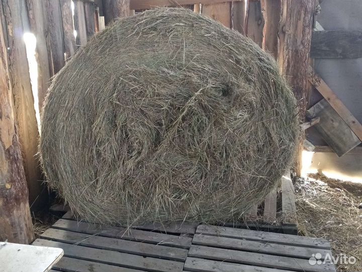 Предлагаю приобрести сено с доставкой от одного ру