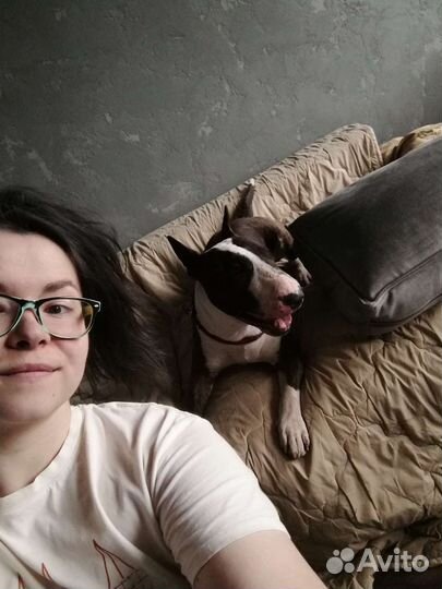 Выгул собак