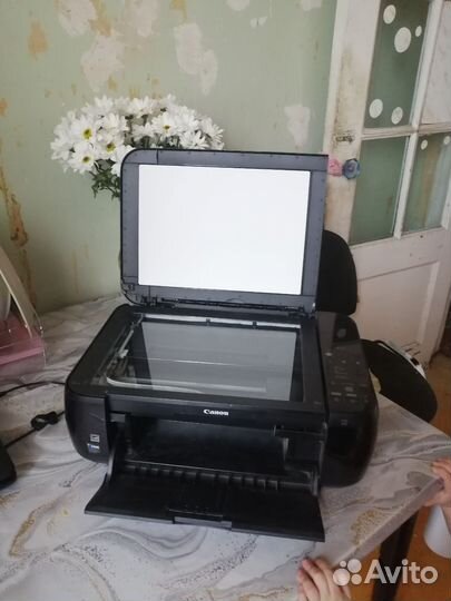 Принтер сканер цветной canon