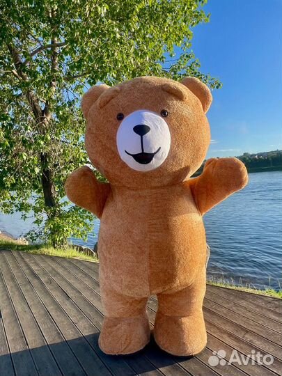 Ростовой Мишка Тедди