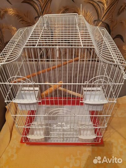 Клетка для попугая корелла