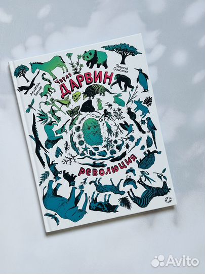 Книга