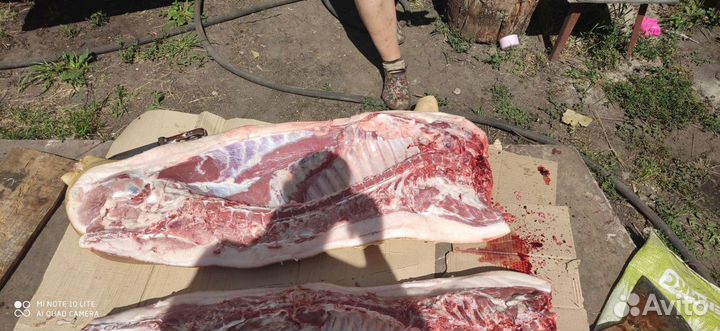 Мясо свинина